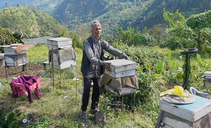 Veteran Beekeeper Earns Notable Income